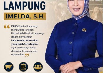 DPRD Lampung Dorong Ekosistem Peternak Telur, Pasokan Pangan Bergizi Meningkat dan Pendapatan Peternak Naik